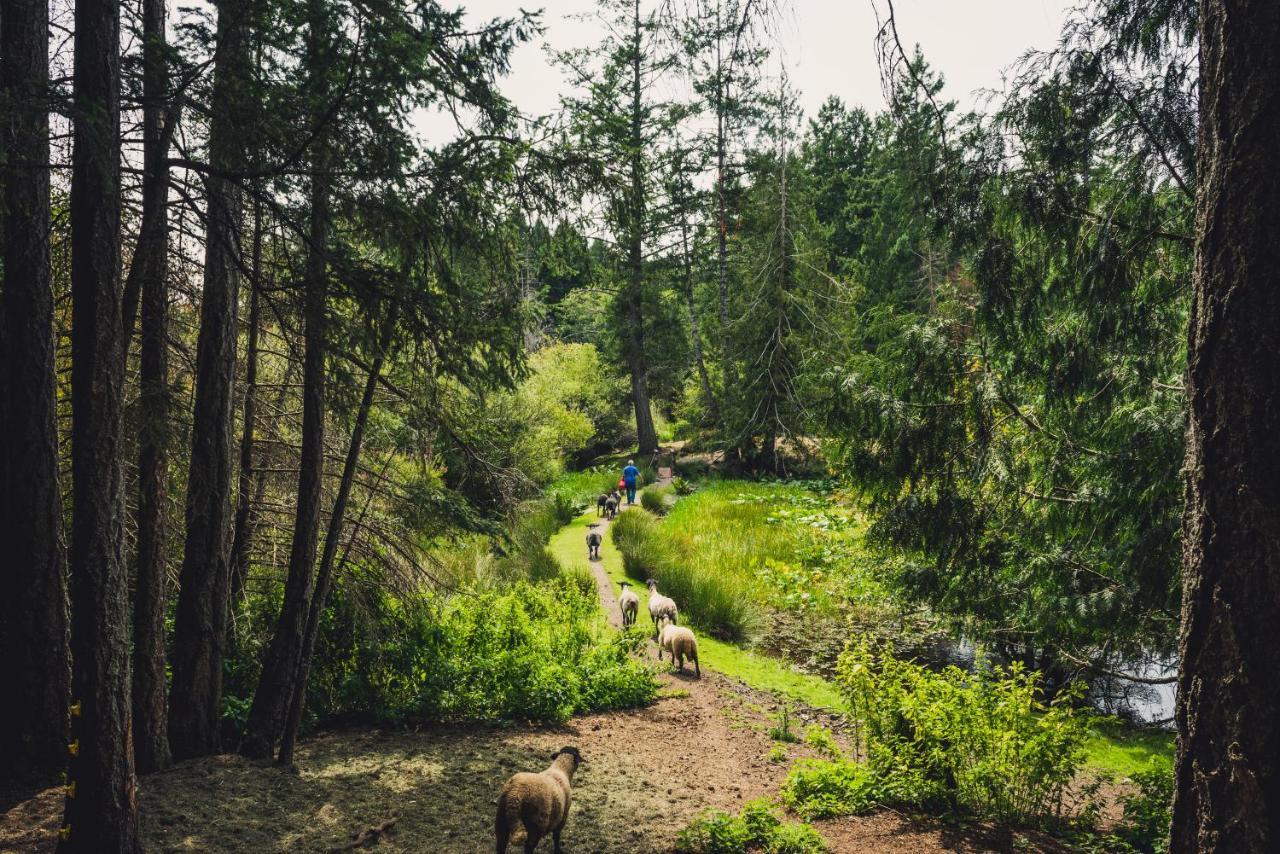 Misty Meadows B&B Langford Dış mekan fotoğraf