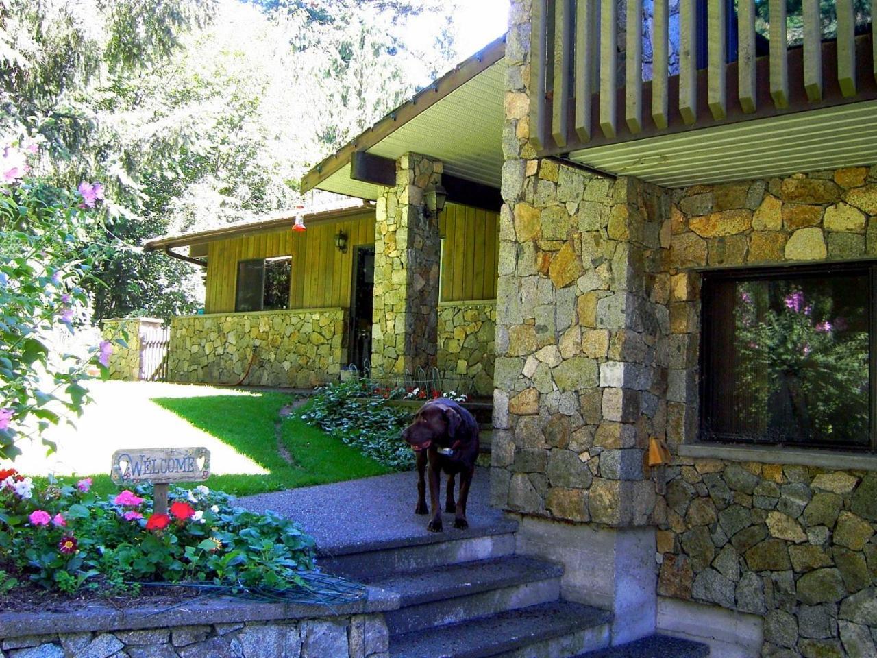 Misty Meadows B&B Langford Dış mekan fotoğraf