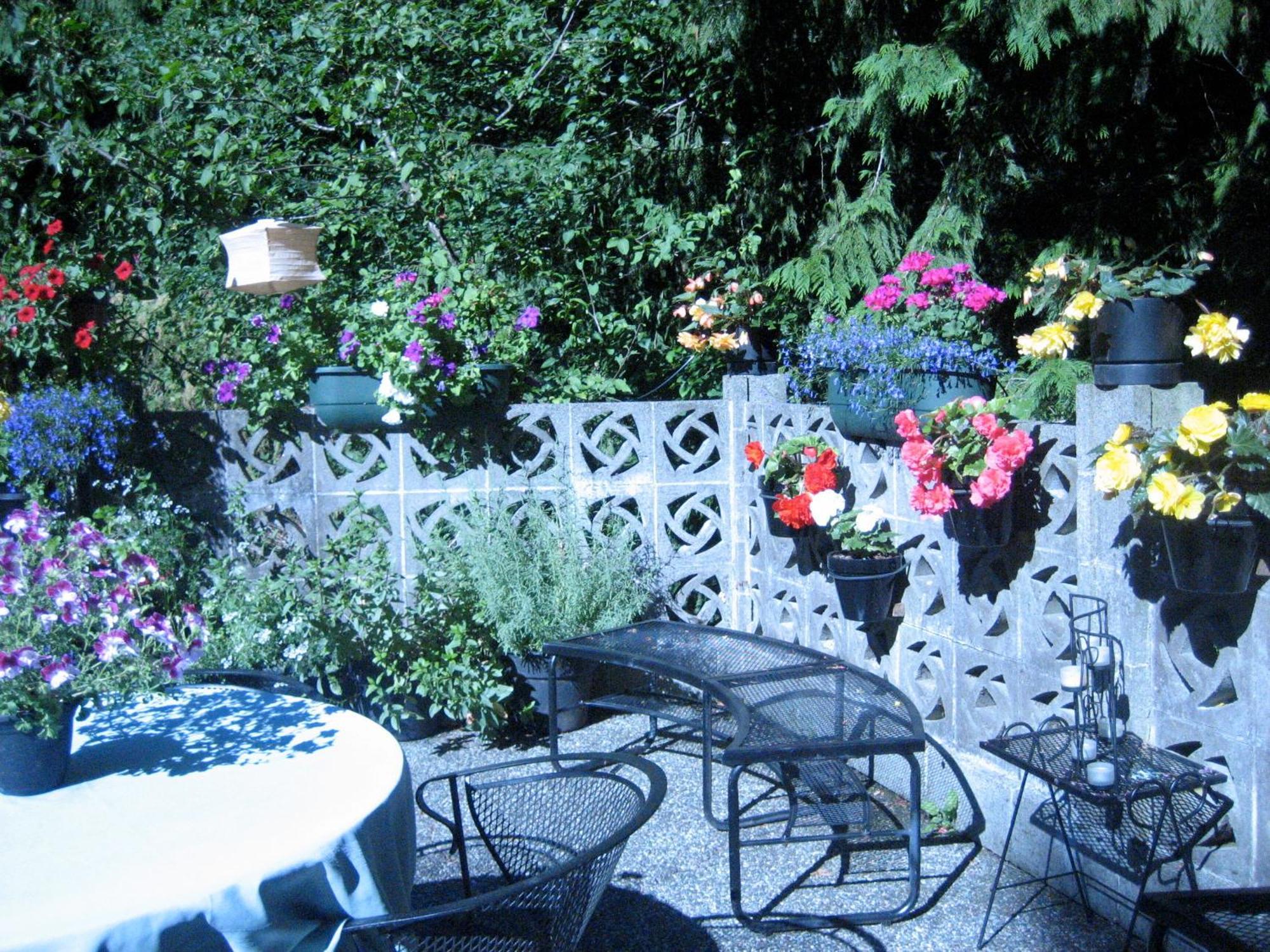 Misty Meadows B&B Langford Dış mekan fotoğraf