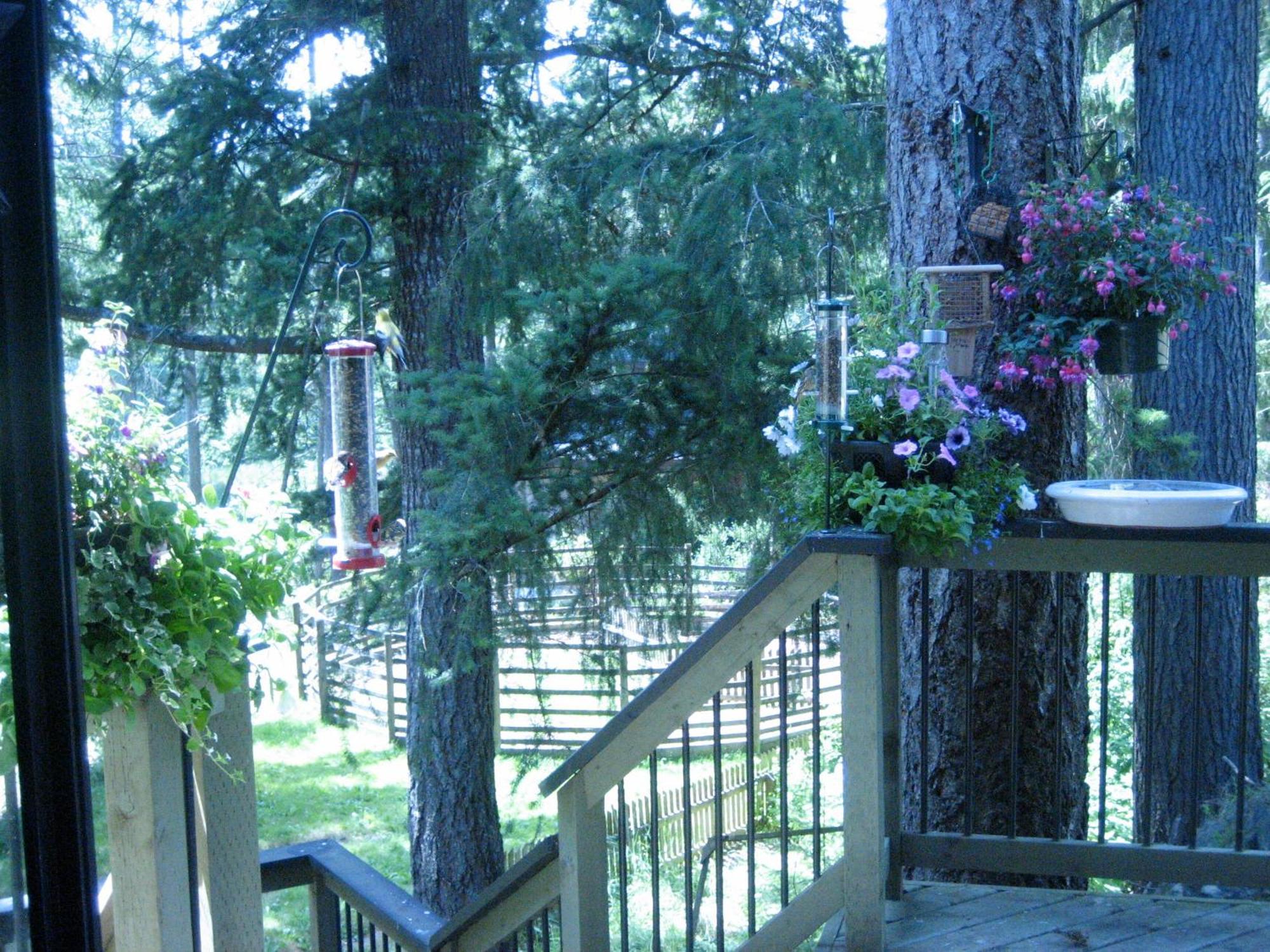 Misty Meadows B&B Langford Dış mekan fotoğraf
