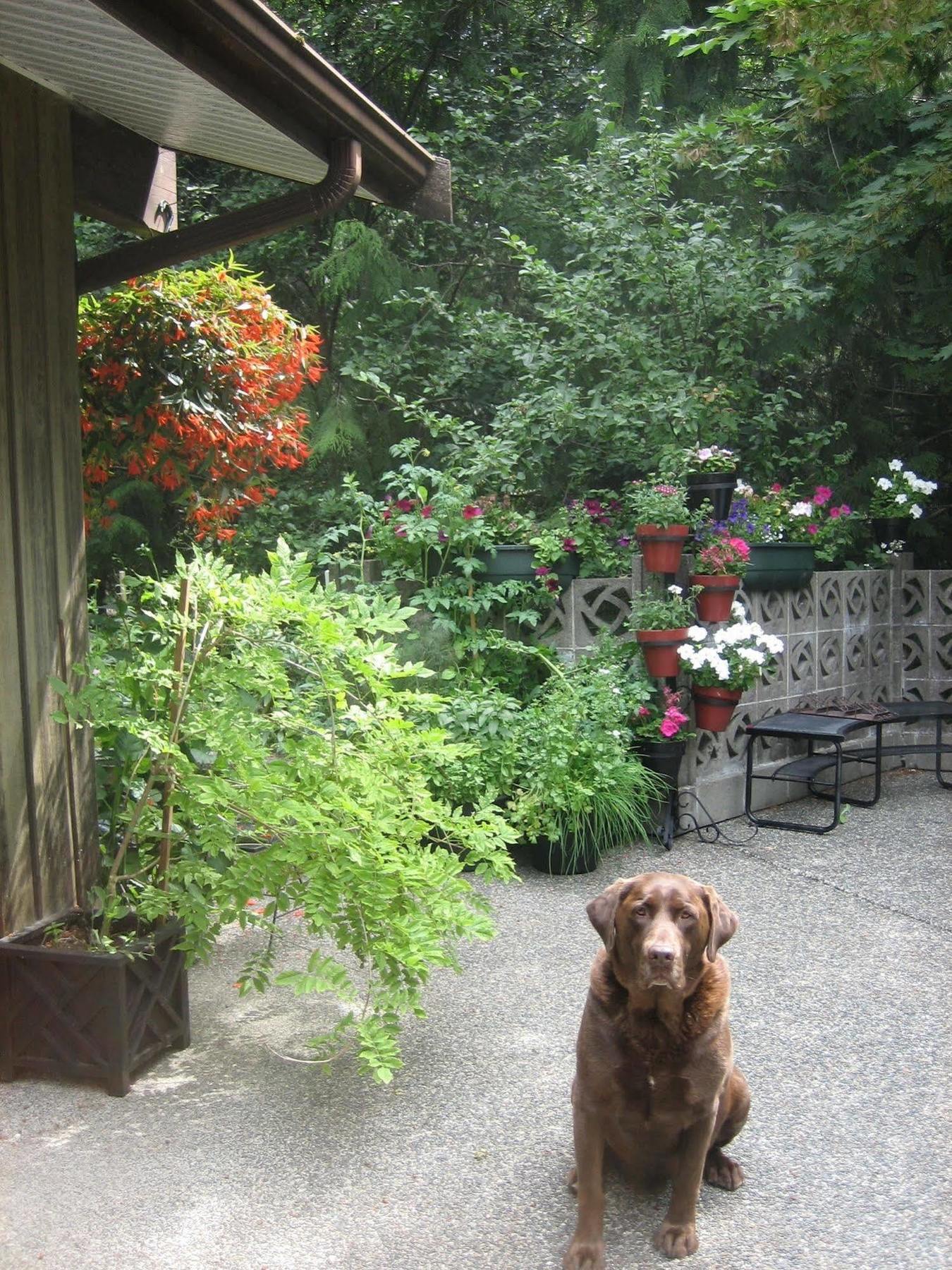Misty Meadows B&B Langford Dış mekan fotoğraf