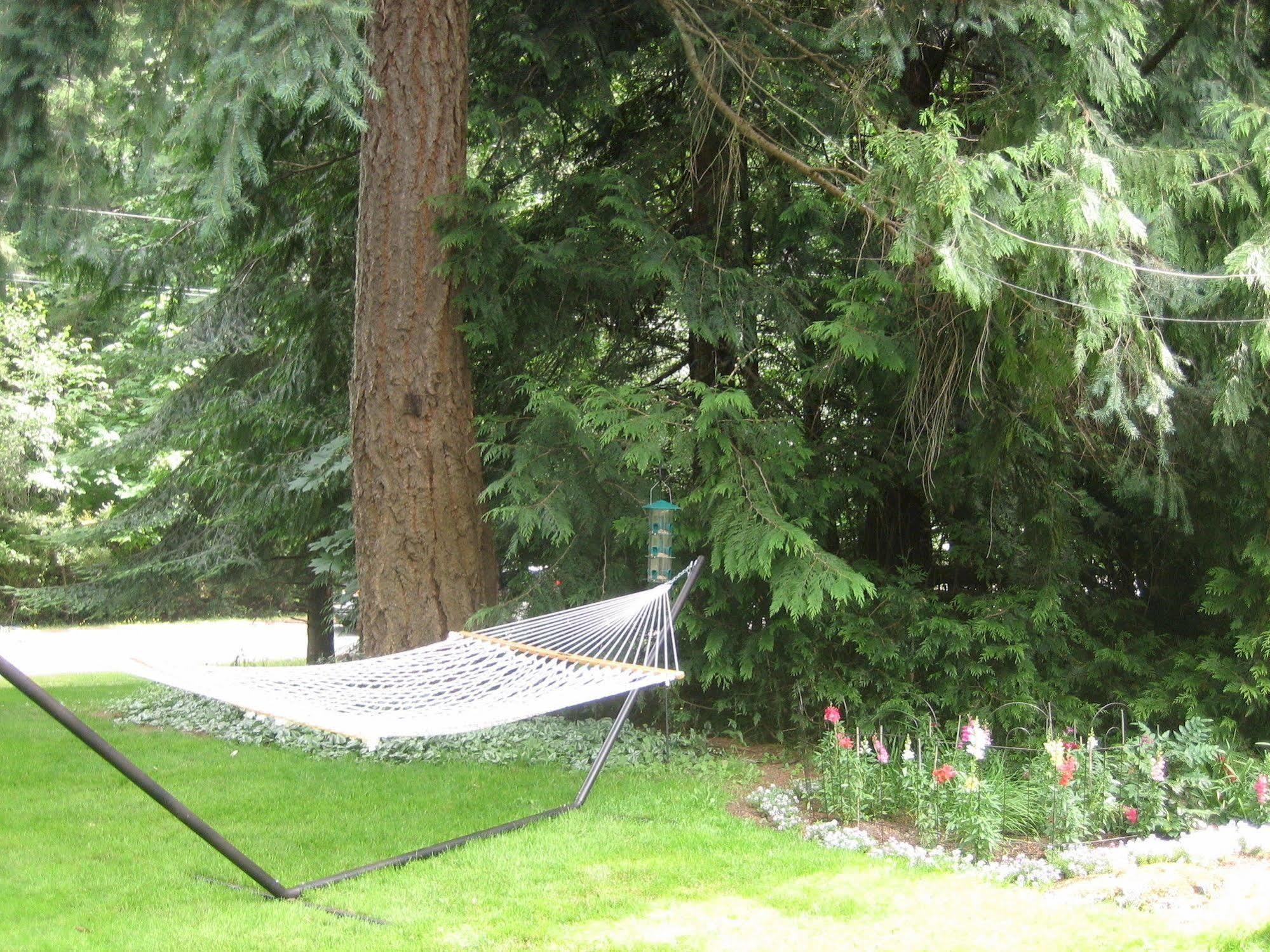 Misty Meadows B&B Langford Dış mekan fotoğraf