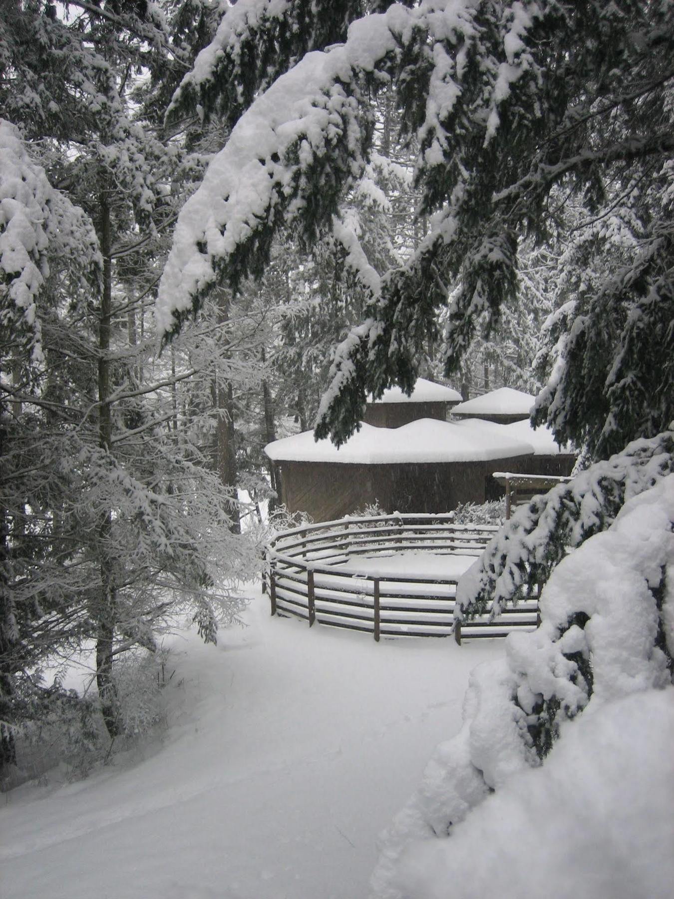 Misty Meadows B&B Langford Dış mekan fotoğraf