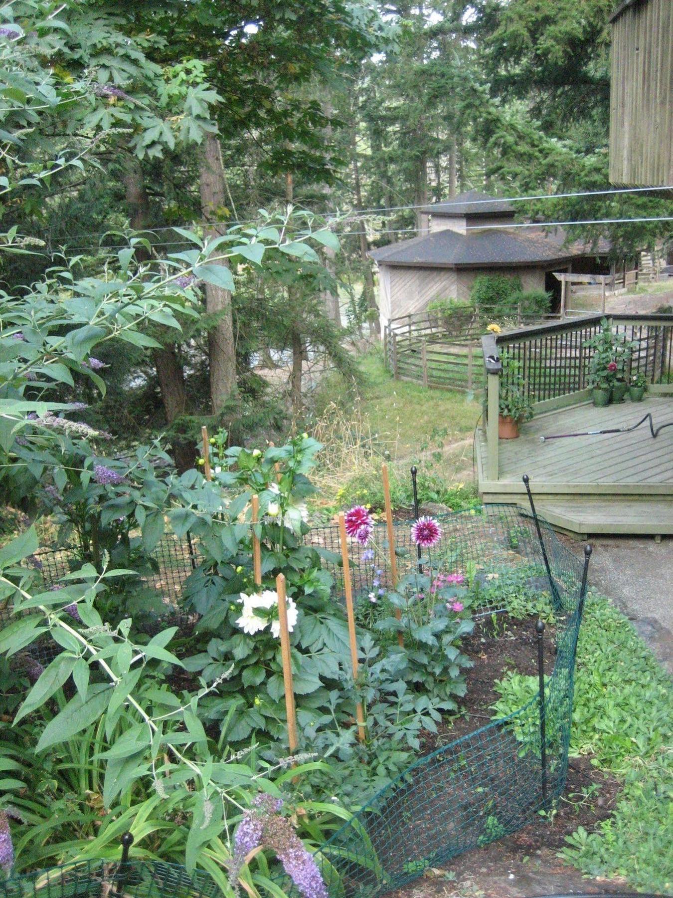 Misty Meadows B&B Langford Dış mekan fotoğraf