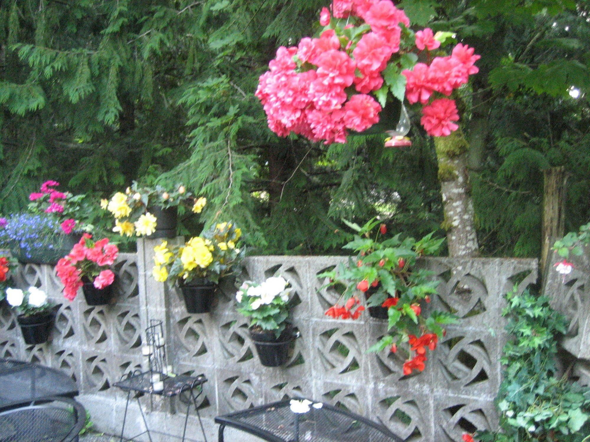 Misty Meadows B&B Langford Dış mekan fotoğraf